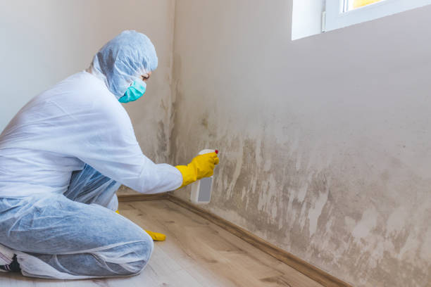 Mold Remediation specialist working in Carol Stream